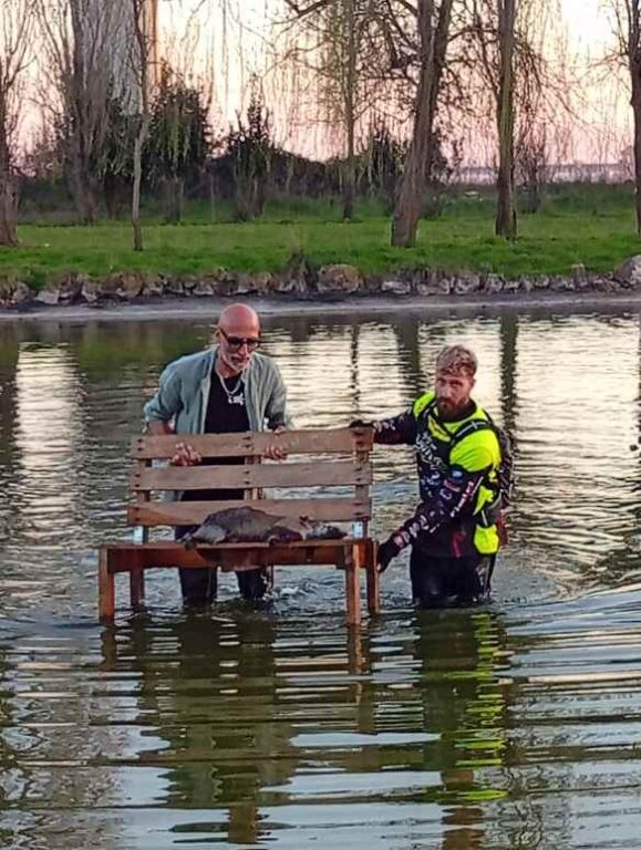 643457950_1356699703160155_5995343542059278536_n-1