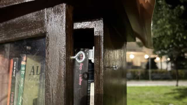 WhatsApp Image 2026-02-11 at 10.41.39