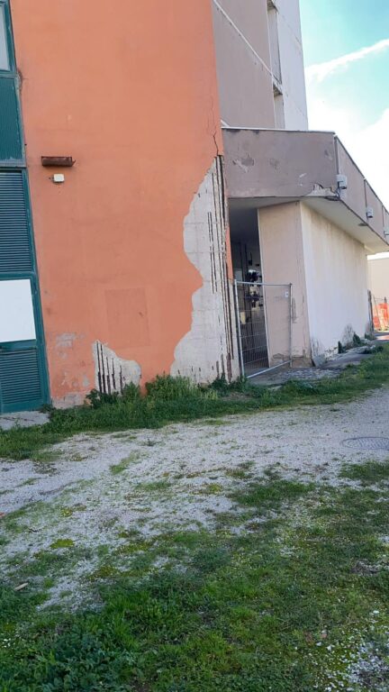 WhatsApp Image 2026-02-12 at 07.46.35