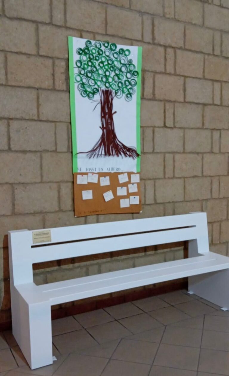 WhatsApp Image 2026-02-14 at 09.26.24