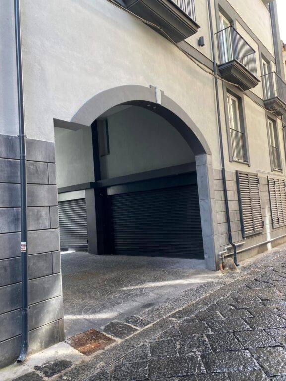 WhatsApp Image 2026-02-16 at 11.08.30