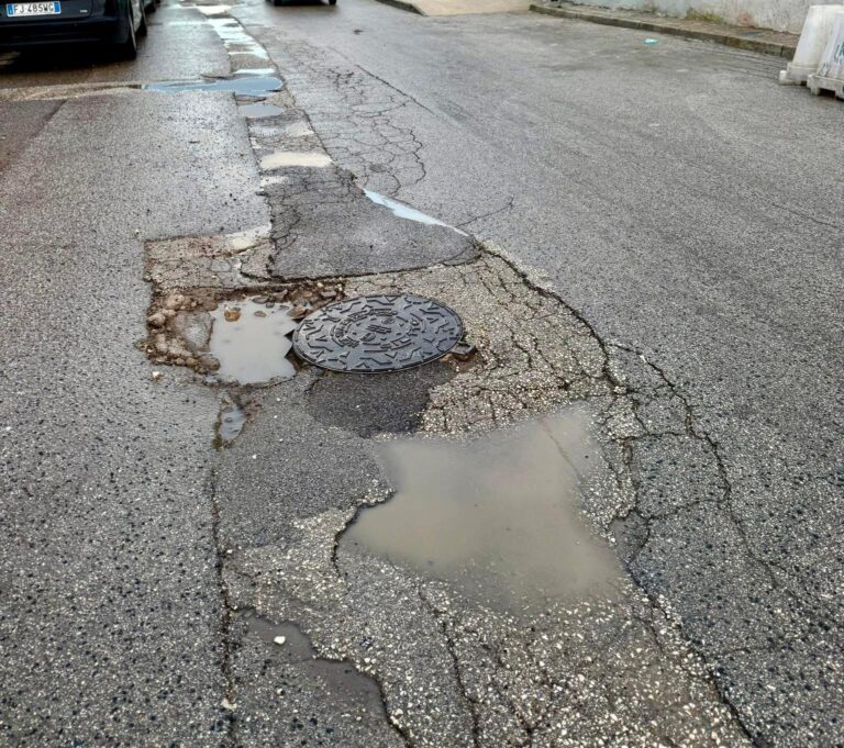 WhatsApp Image 2026-02-17 at 17.48.53