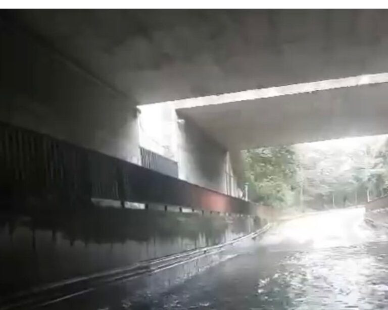 WhatsApp Image 2026-02-19 at 21.17.02