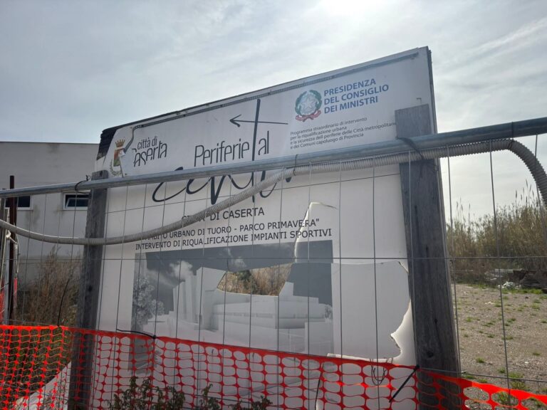 WhatsApp Image 2026-02-23 at 15.27.14