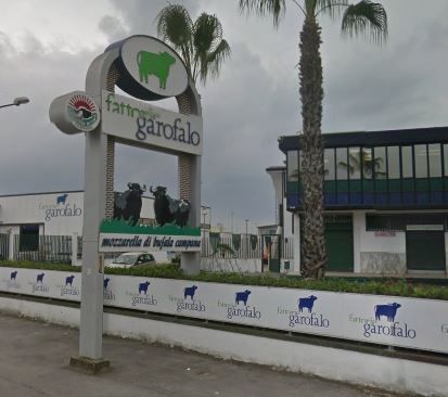 WhatsApp Image 2026-02-25 at 10.51.50