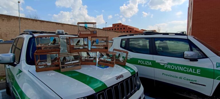 POLIZIAPROVCARDELLINI