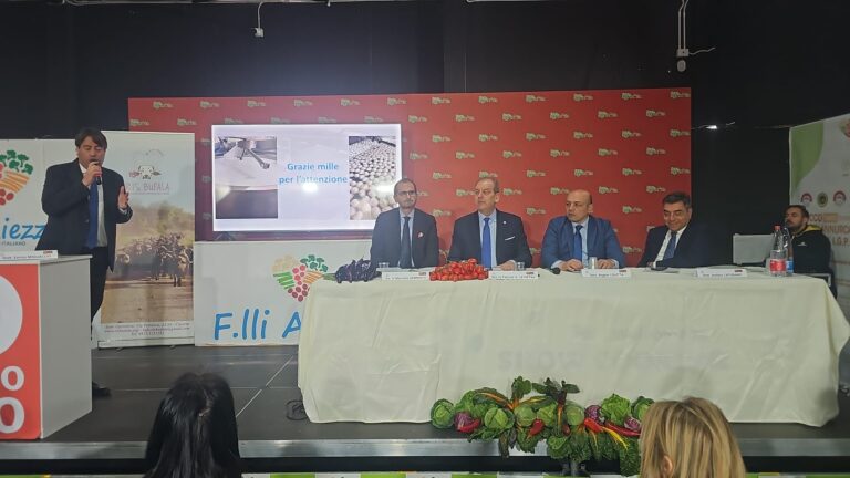 WhatsApp Image 2026-03-06 at 12.05.13