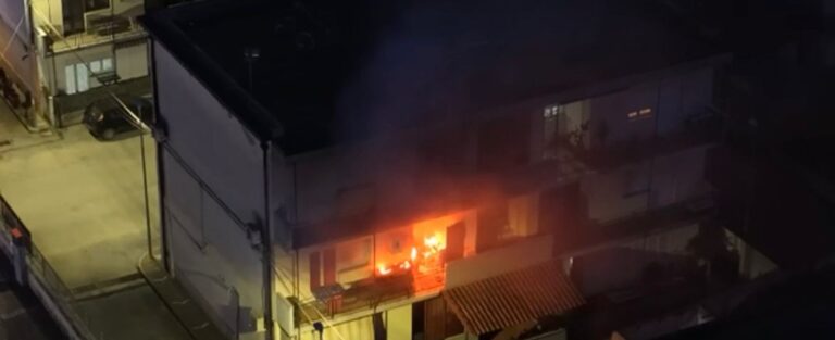 WhatsApp Image 2026-03-06 at 19.49.08