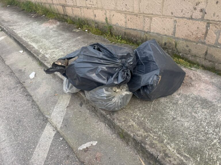 WhatsApp Image 2026-03-08 at 09.47.12