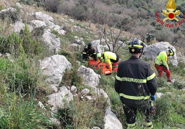 WhatsApp Image 2026-03-08 at 14.14.41