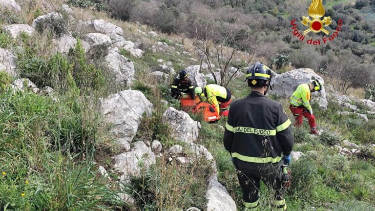 WhatsApp Image 2026-03-08 at 14.14.41