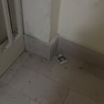 WhatsApp Image 2026-03-08 at 22.47.36