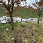 WhatsApp Image 2026-03-10 at 10.48.40