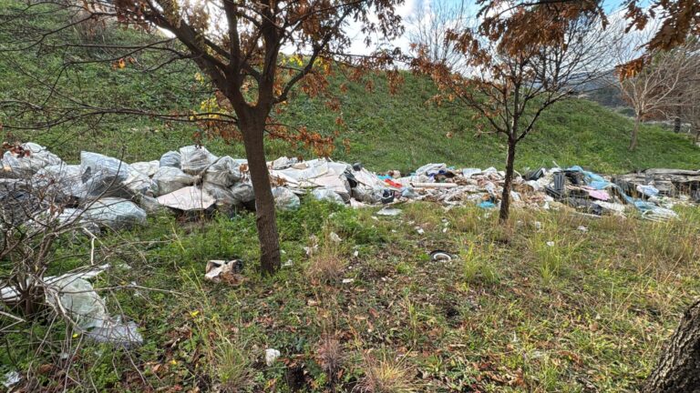 WhatsApp Image 2026-03-10 at 10.48.40