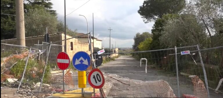 WhatsApp Image 2026-03-13 at 07.25.25