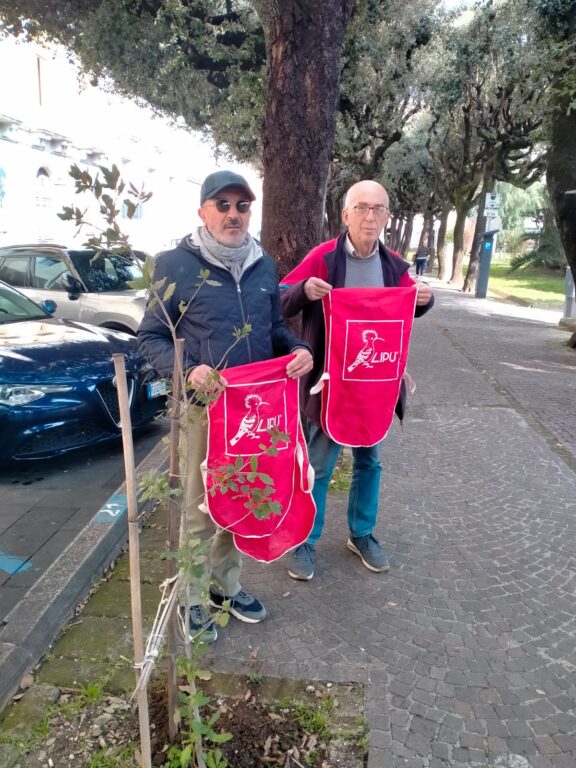 WhatsApp Image 2026-03-13 at 19.54.23