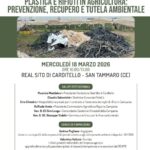 WhatsApp Image 2026-03-14 at 18.30.19