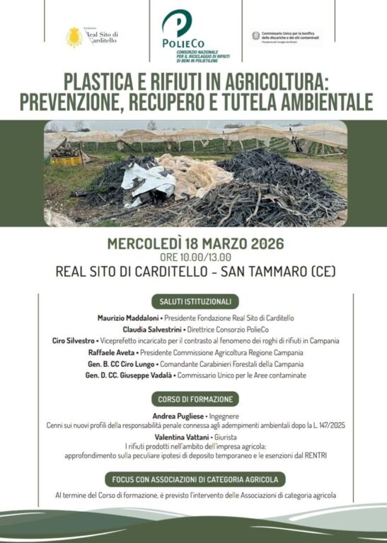 WhatsApp Image 2026-03-14 at 18.30.19