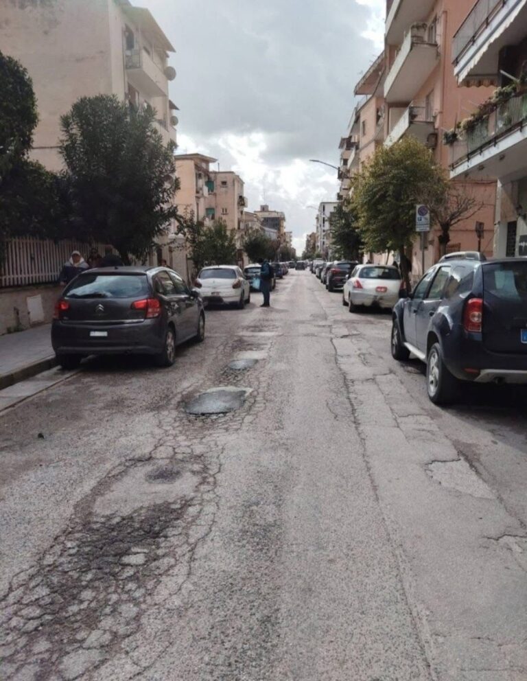 WhatsApp Image 2026-03-16 at 10.03.30