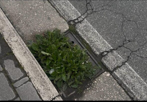 WhatsApp Image 2026-03-19 at 21.13.34