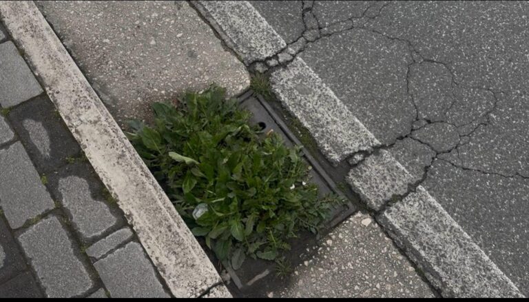 WhatsApp Image 2026-03-19 at 21.13.34