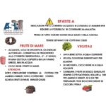 WhatsApp Image 2026-03-20 at 12.17.13