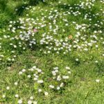 WhatsApp Image 2026-03-21 at 07.55.37