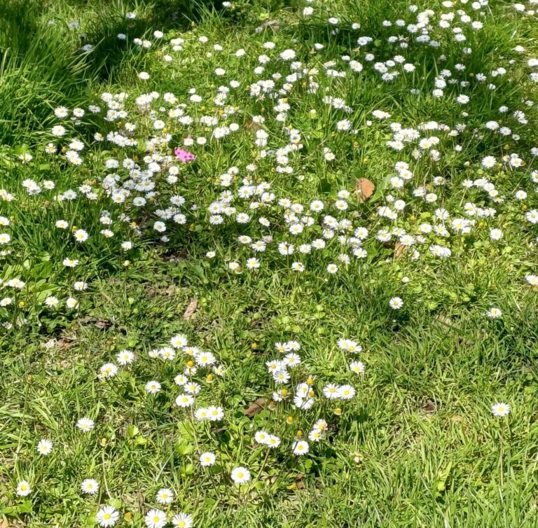 WhatsApp Image 2026-03-21 at 07.55.37