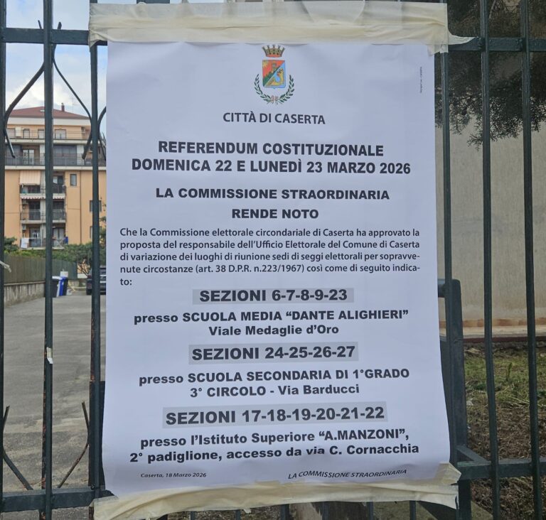 WhatsApp Image 2026-03-22 at 13.23.46