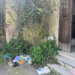 WhatsApp Image 2026-03-23 at 14.19.47