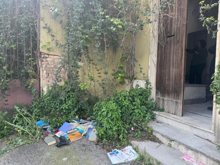 WhatsApp Image 2026-03-23 at 14.19.47