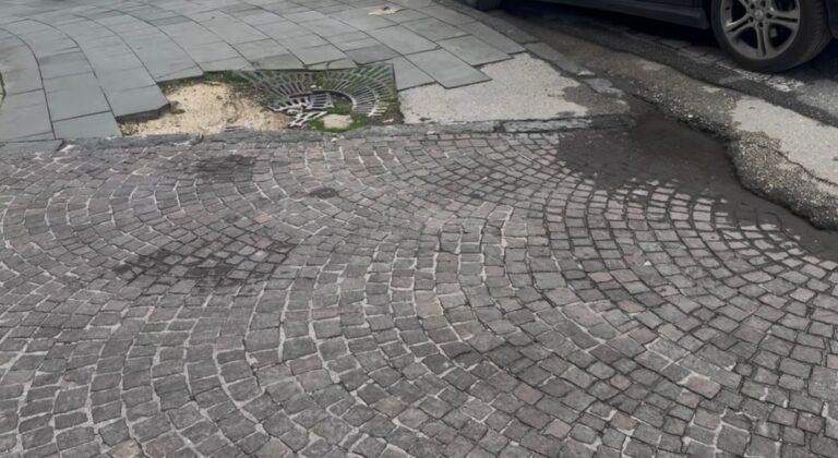 WhatsApp Image 2026-03-24 at 13.02.27