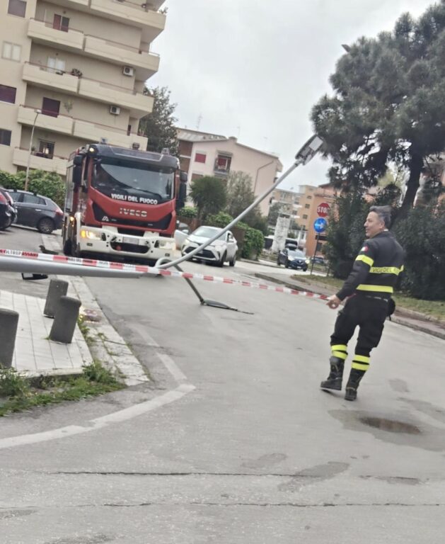 WhatsApp Image 2026-03-26 at 09.36.55