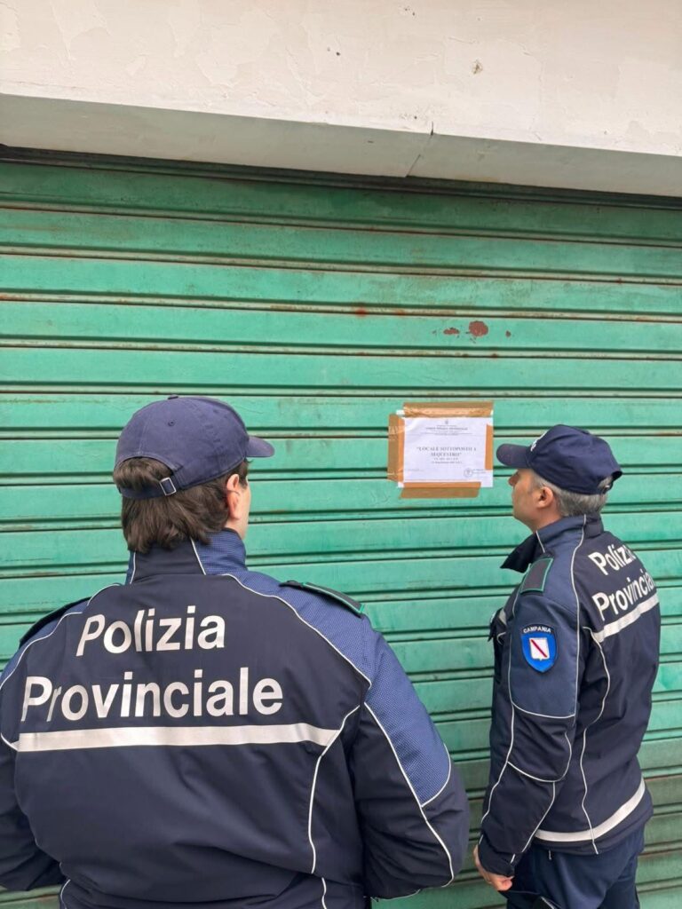 WhatsApp Image 2026-03-26 at 14.51.33 (1)