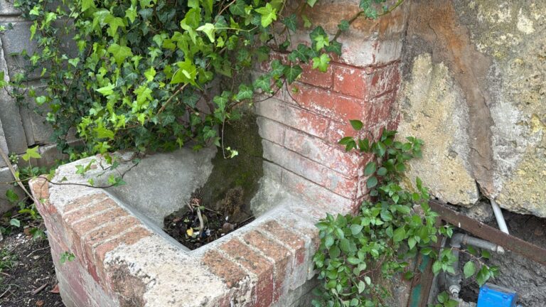 WhatsApp Image 2026-03-28 at 12.18.44