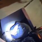 WhatsApp Image 2026-03-29 at 13.08.44