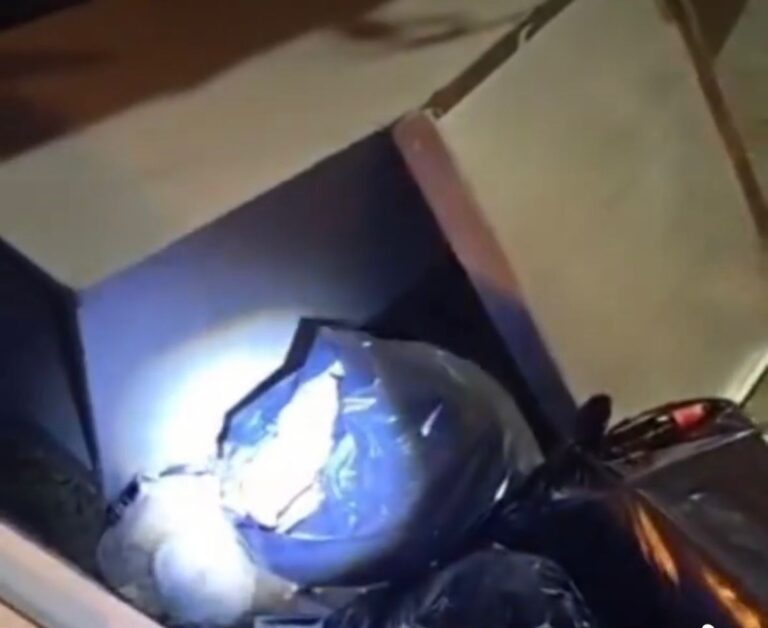 WhatsApp Image 2026-03-29 at 13.08.44