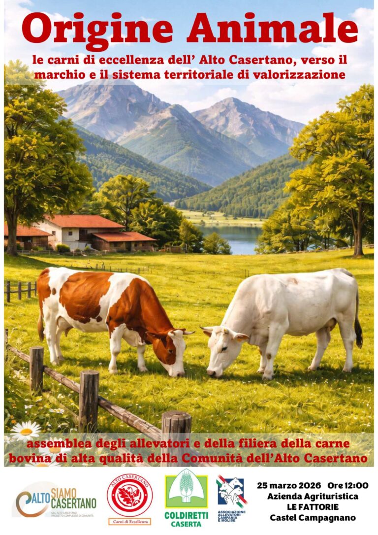locandina GAL Marchio Carni di Eccellenza dell’Alto Casertano Castel Campagnano