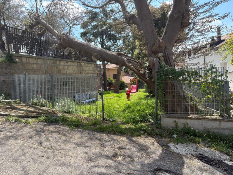 0fe81fd0-18a8-4791-8a56-7eb4bb584f0b