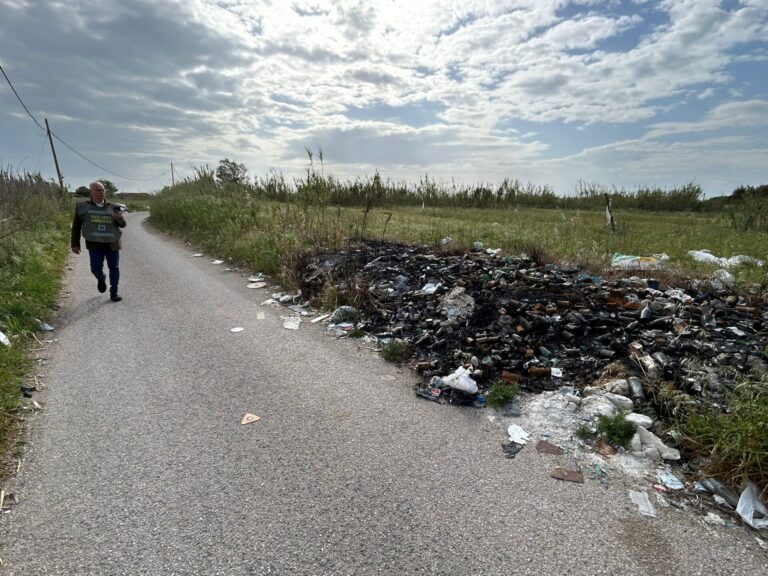 14a66747-3526-454c-b266-65a8976be884