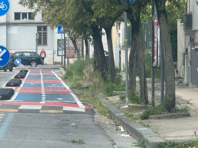 1d5c22ff-85d2-4e8c-8adc-8b6411df98d4