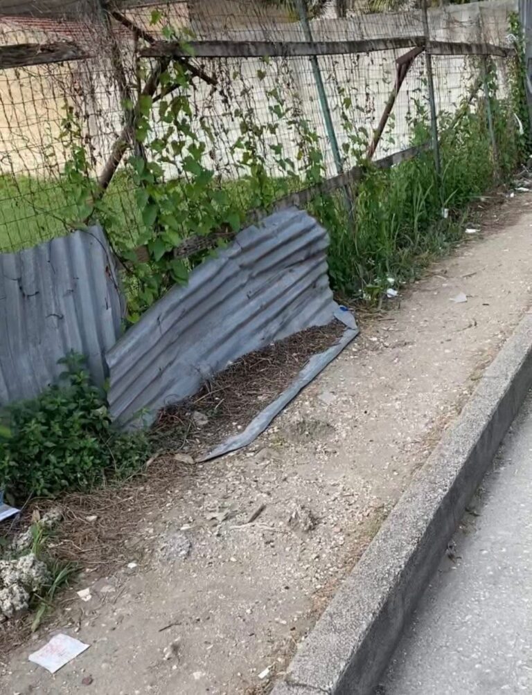 2da30a88-eaa7-430f-b168-f3edfdc6b90c