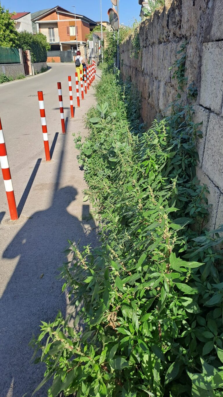 4f4e42c1-37a8-46a3-9853-fb8d3039ef73