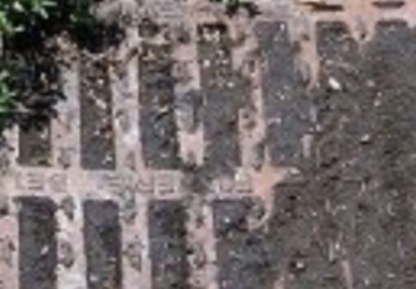 58c6c76a-a101-4c73-98a1-3f115b9a88f7