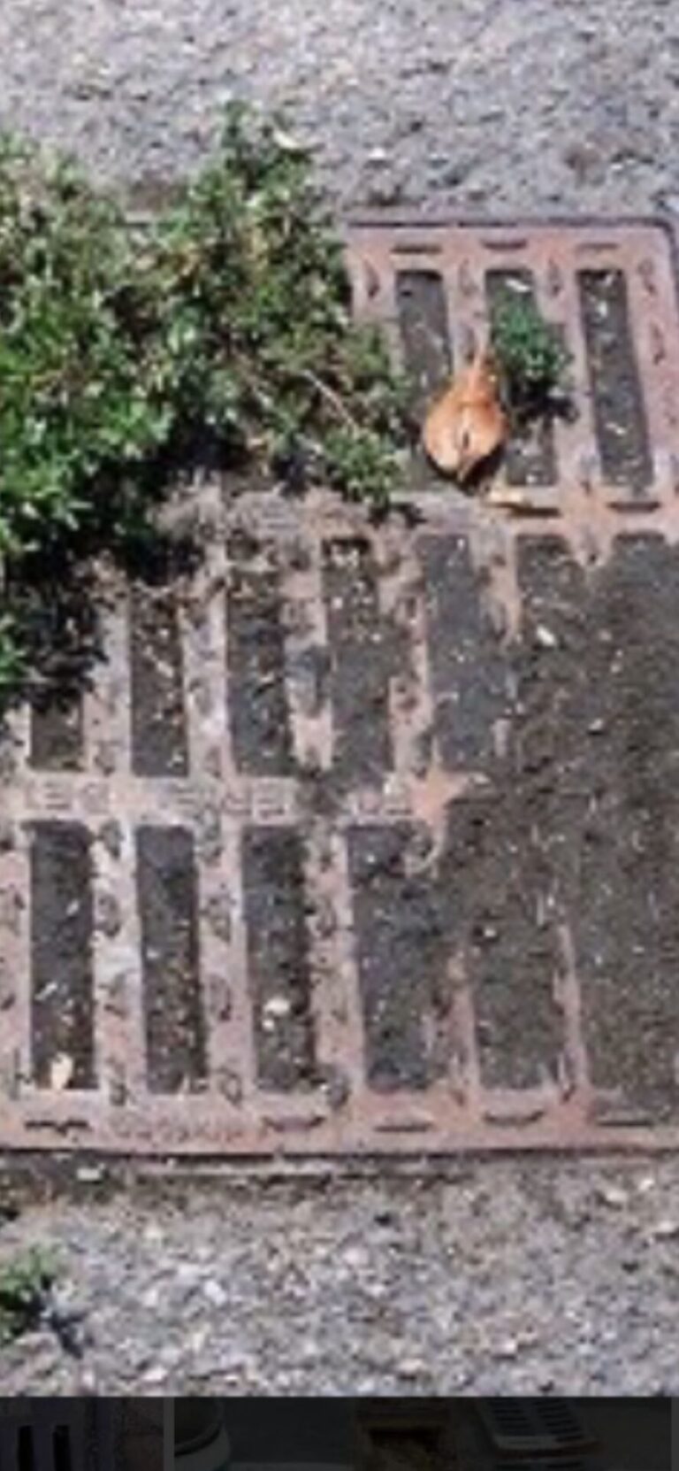 58c6c76a-a101-4c73-98a1-3f115b9a88f7