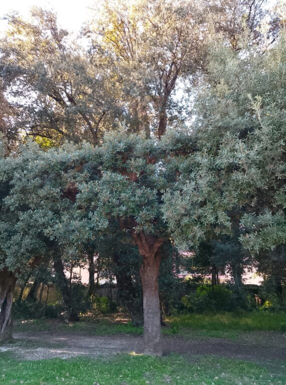 653704372_122103297999177594_195450681946897795_n