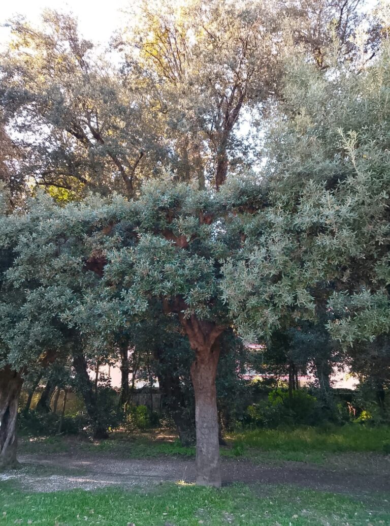 653704372_122103297999177594_195450681946897795_n