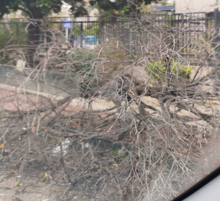 660102029_122123002053152871_7310357834383276433_n