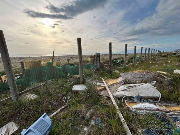 660925954_1340271741467628_2255501863672991511_n