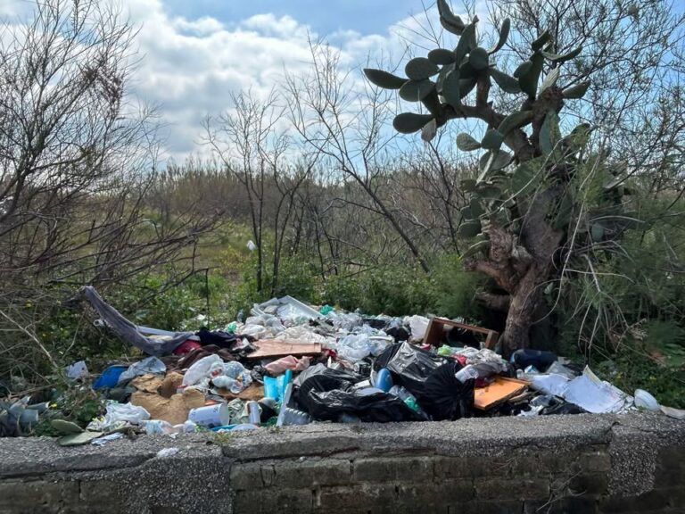 665924442_898948026439992_3743891337195145415_n